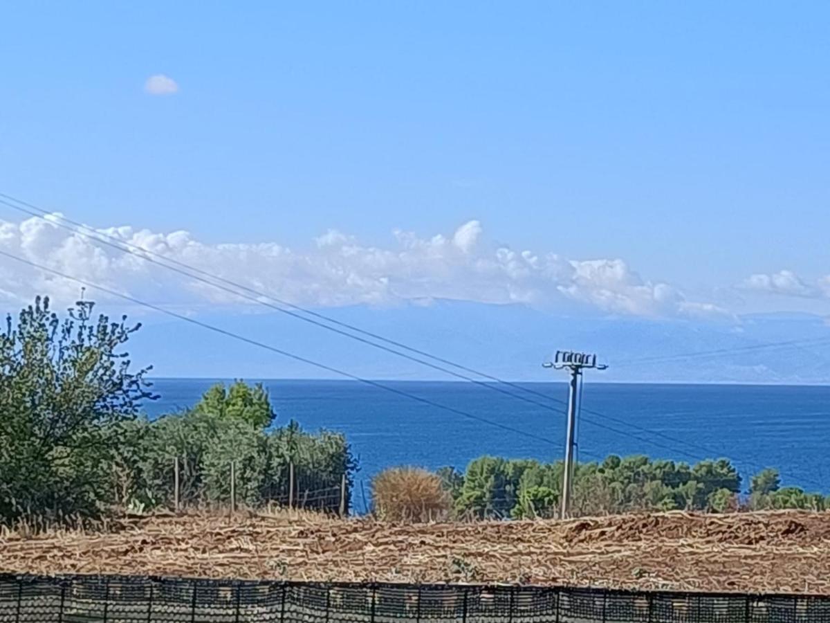 La Taverna Di Angela Amendolara Dış mekan fotoğraf